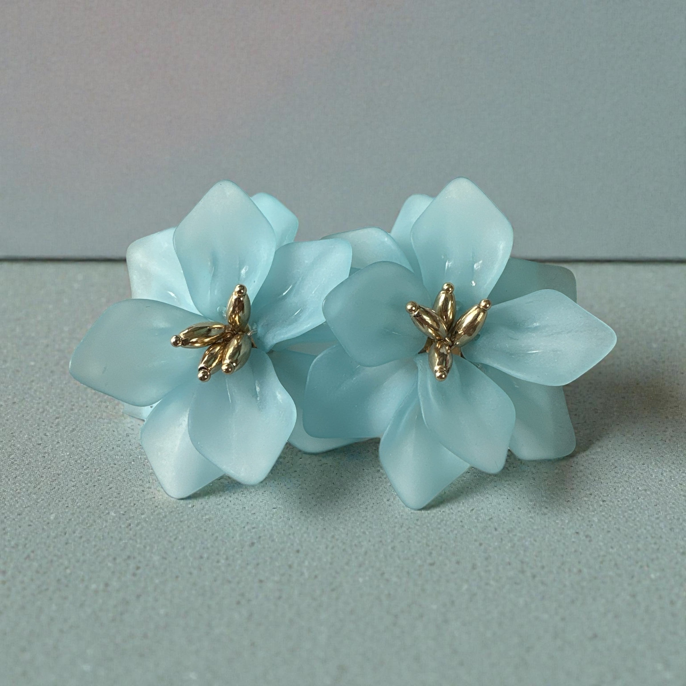 Boucle d'oreille à clip