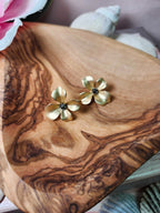 Boucle d'oreille