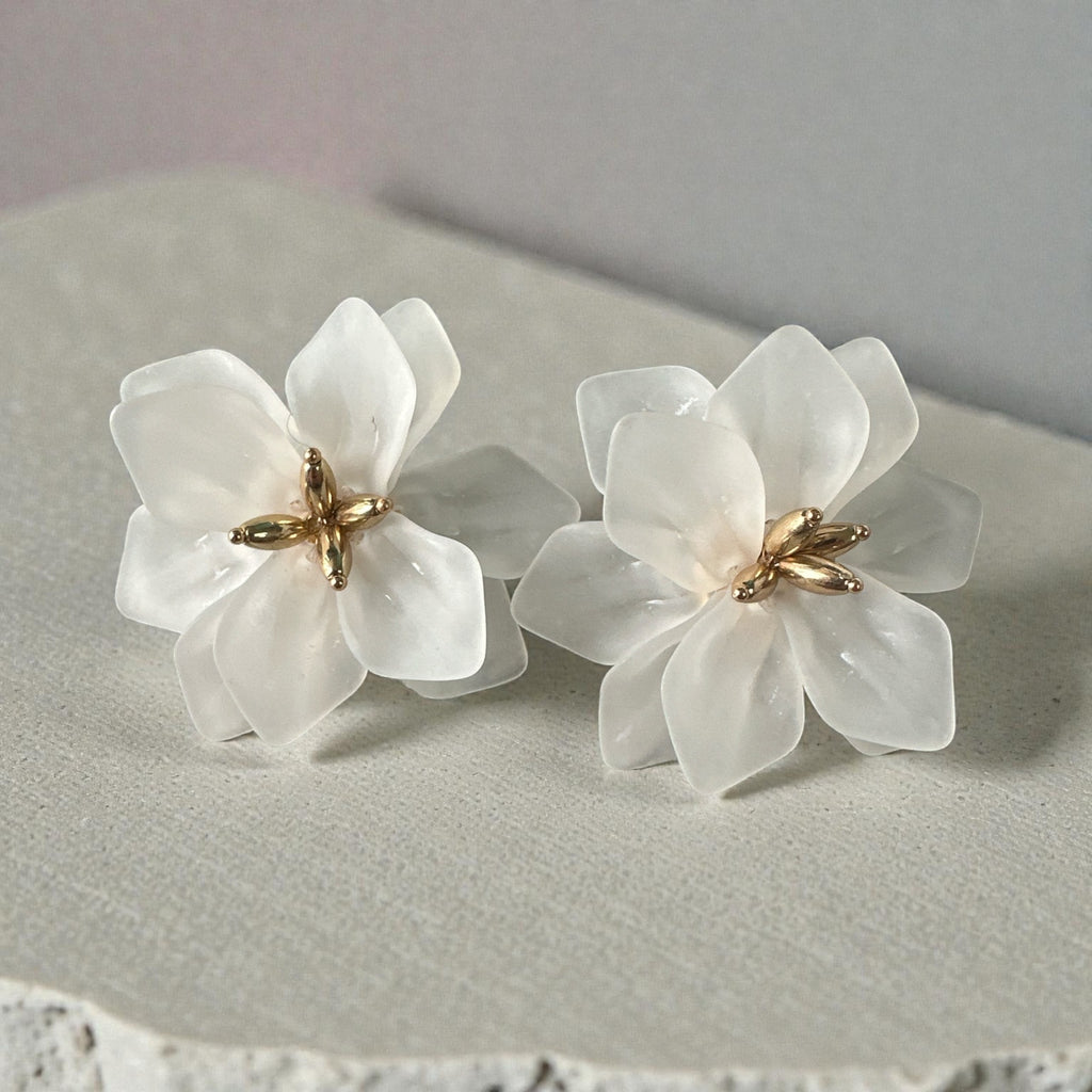 Boucle d'oreille à clip