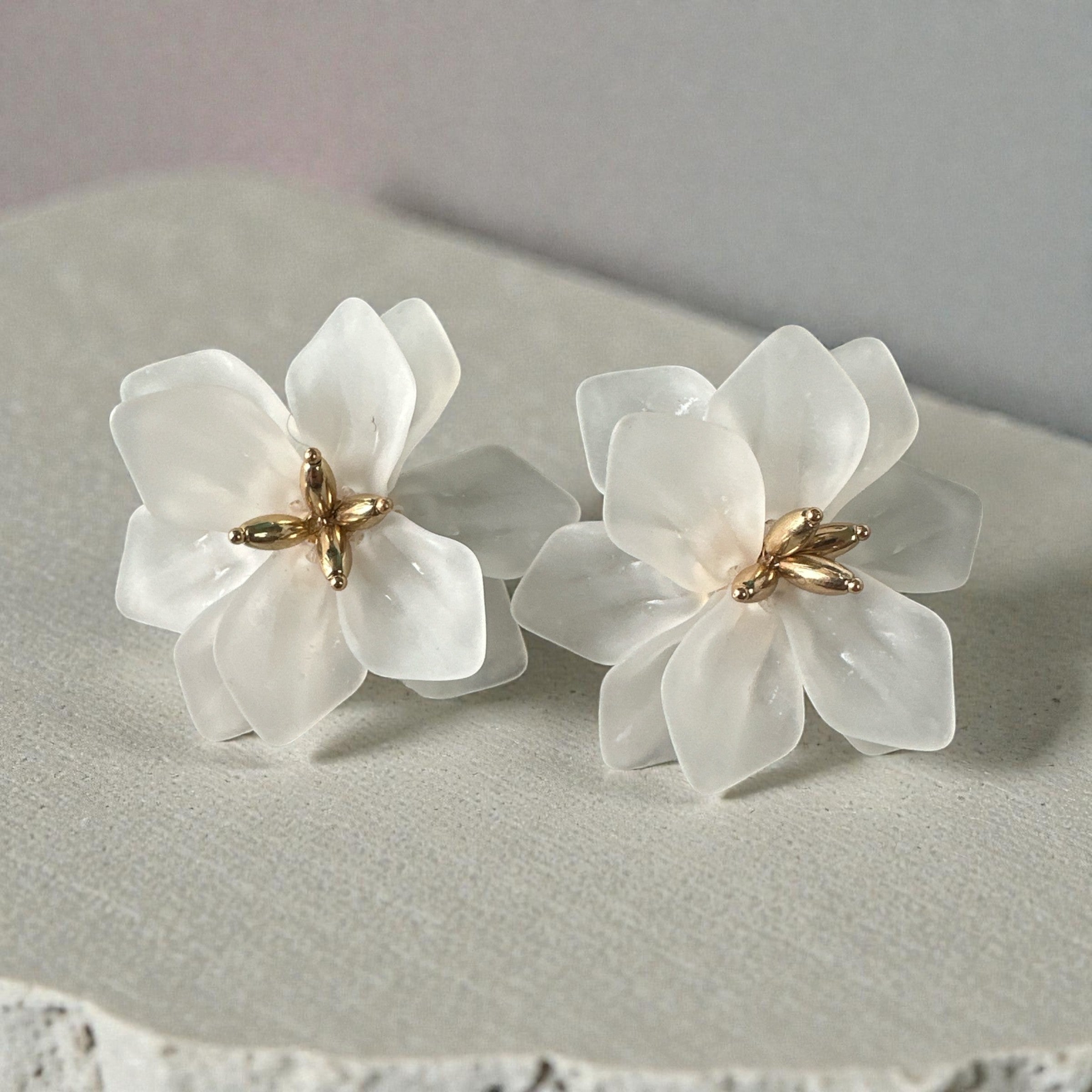 Boucle d'oreille à clip