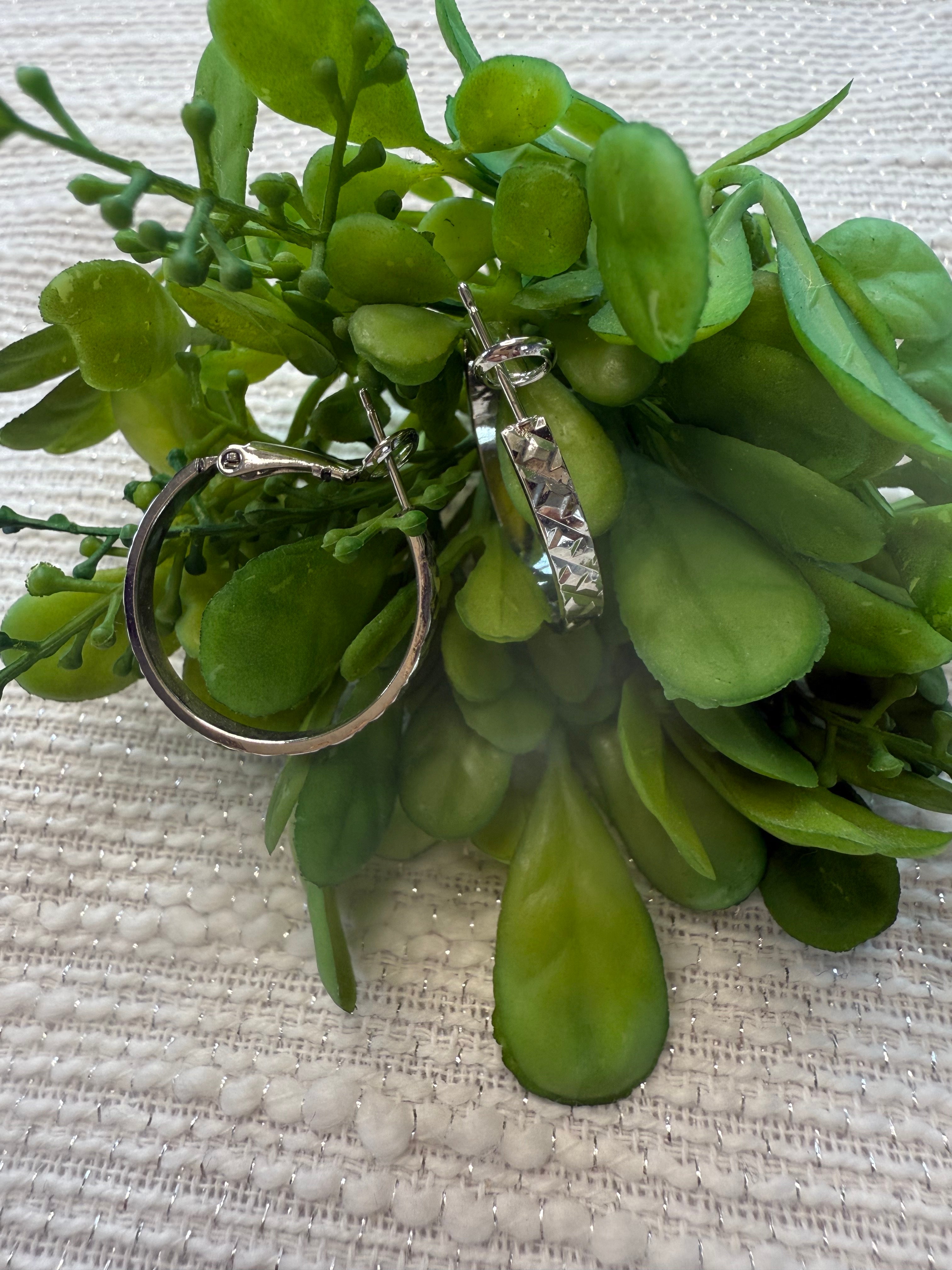 Boucle d'oreille en stainless