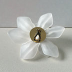 Boucle d'oreille à clip