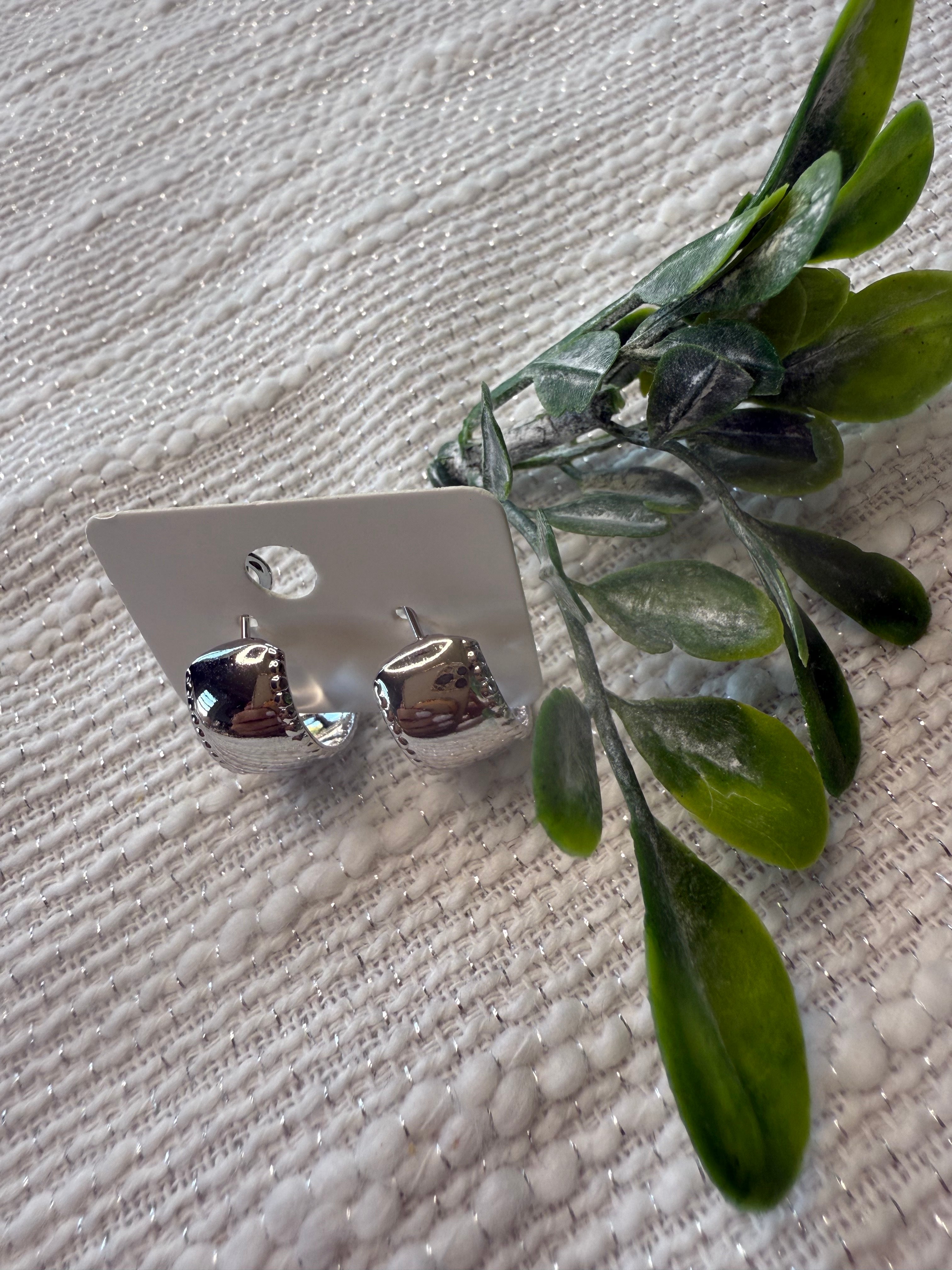 Boucle d'oreille en stainless
