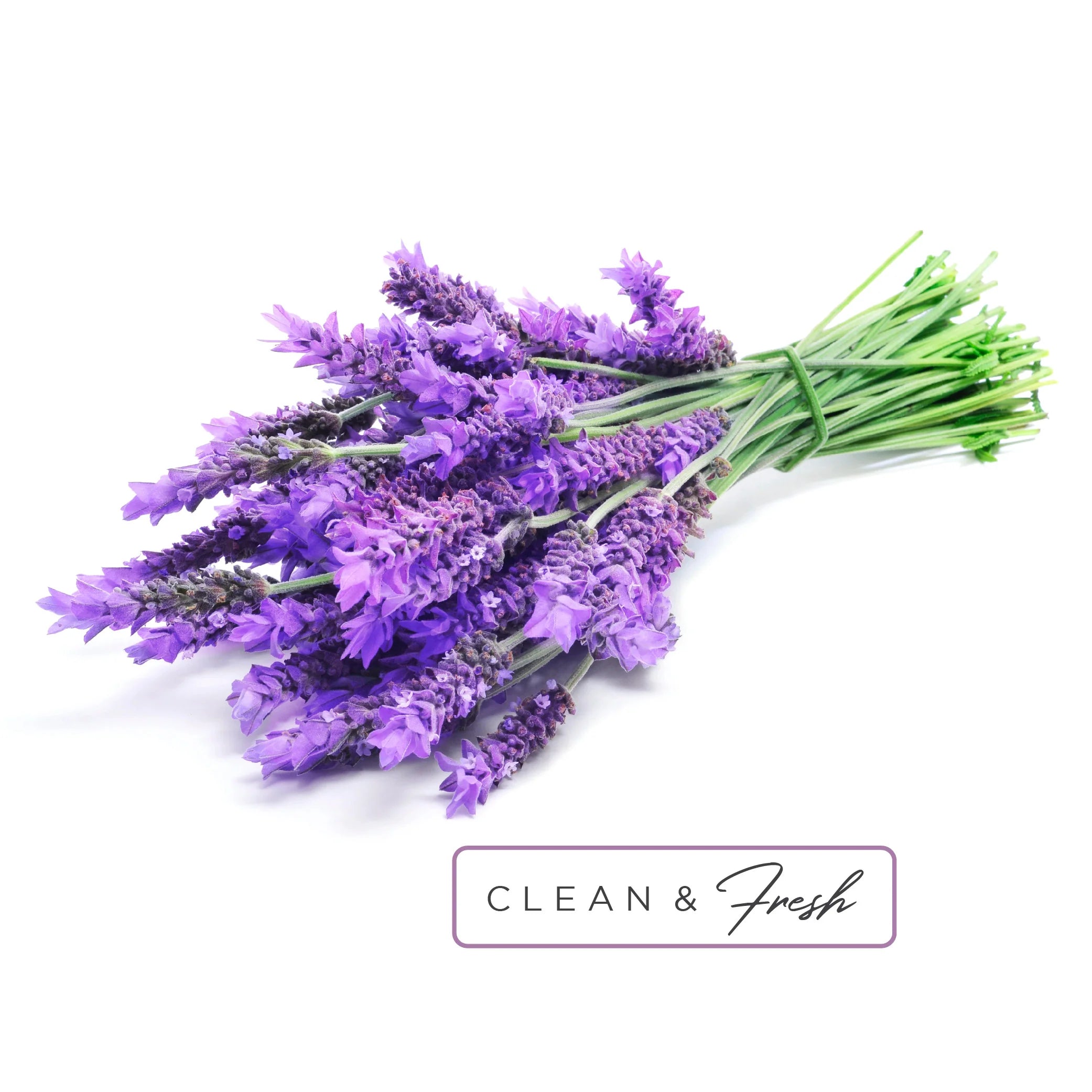Pastille d'aromathérapie pour la douche (huile essentielle)