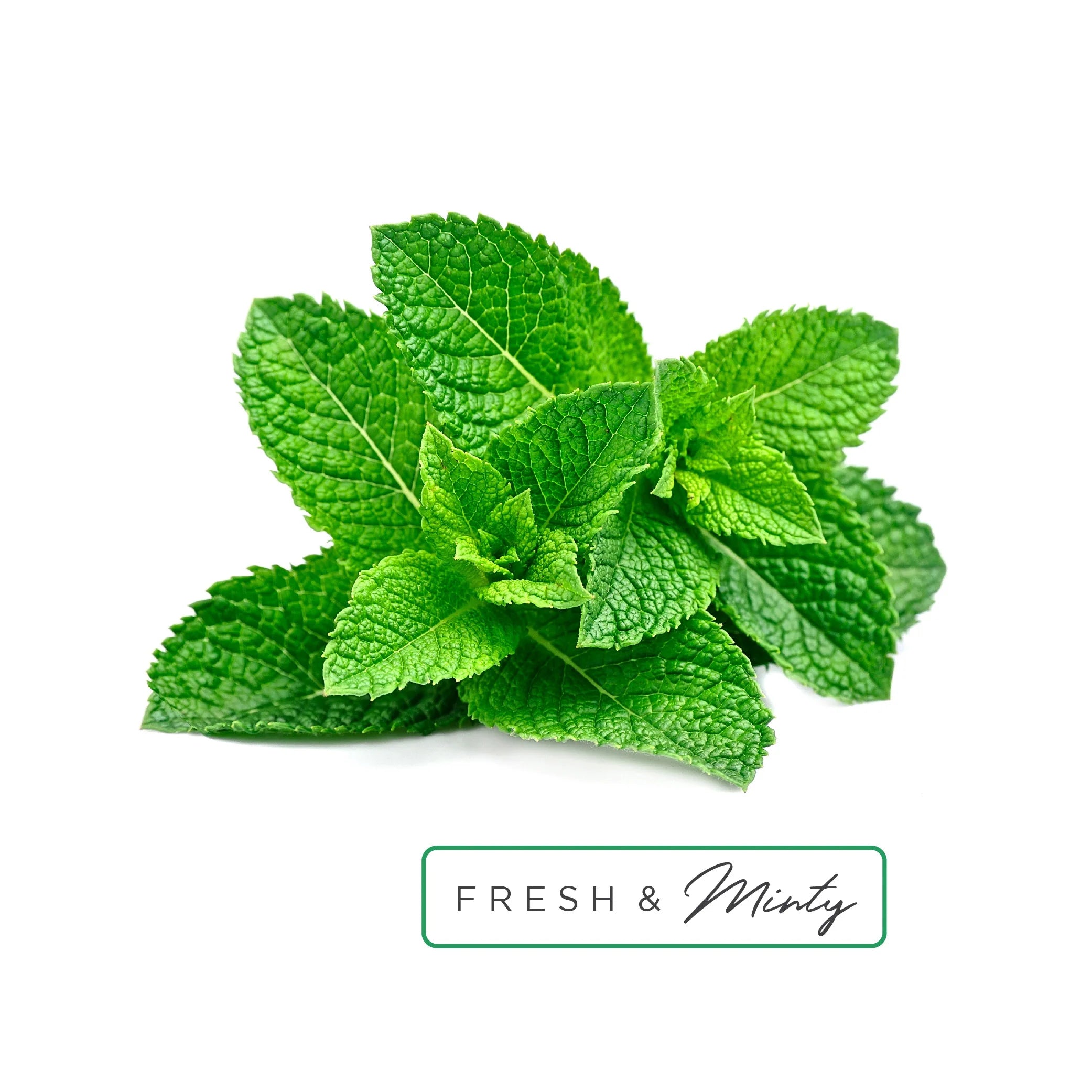 Pastille d'aromathérapie pour la douche (huile essentielle)