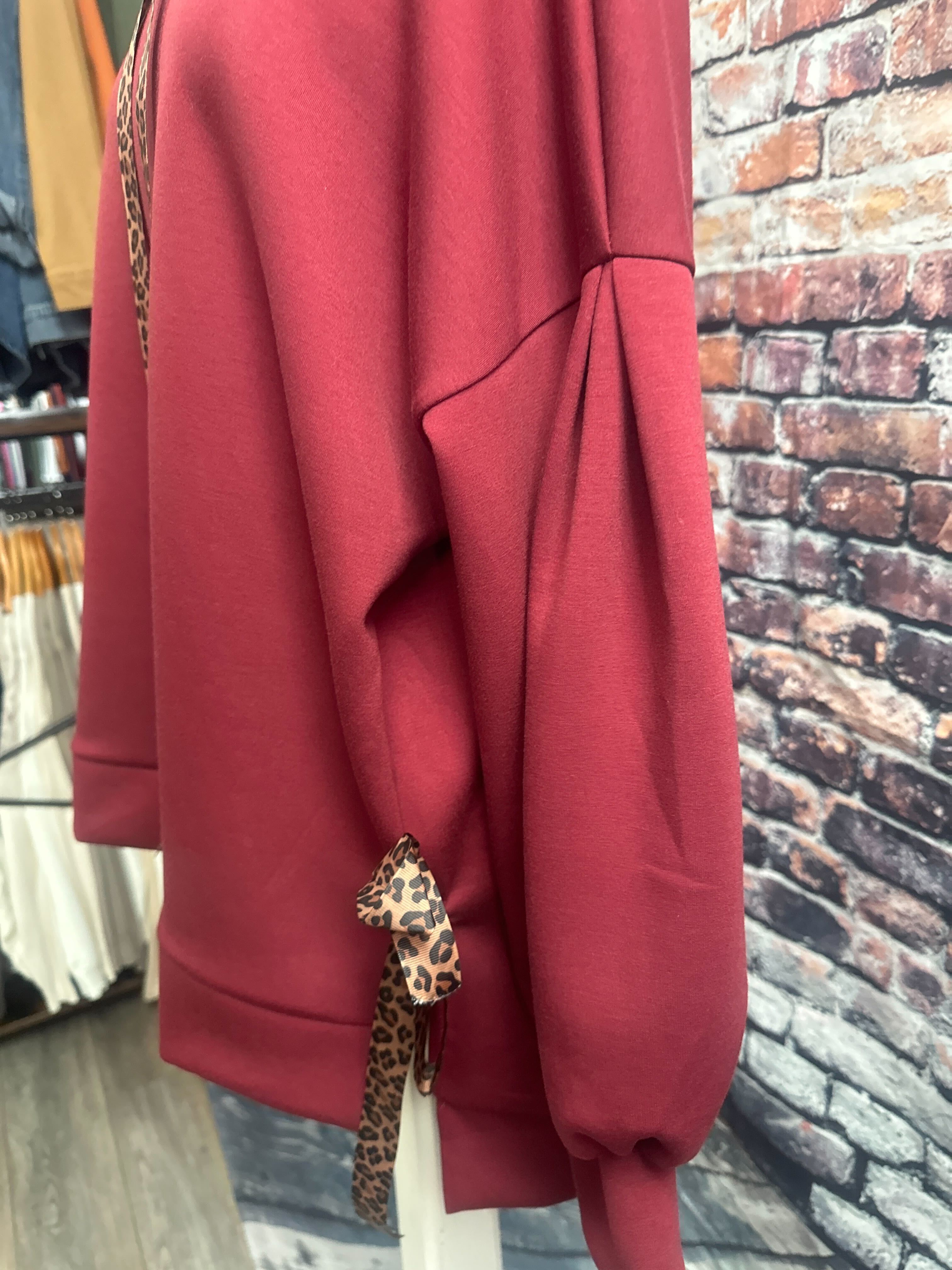 Nouveauté chandail à capuchon automne/hiver 2024-2025- BOUTIQUE SYLBELLE