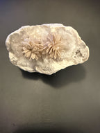 Boucle d'oreille fleur