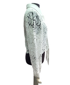 Blouse en dentelle