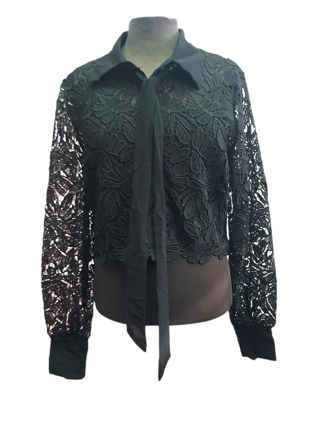 Blouse en dentelle