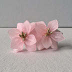 Boucle d'oreille à clip