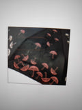 Nouveauté Parapluie Automne/ Hiver 22/23